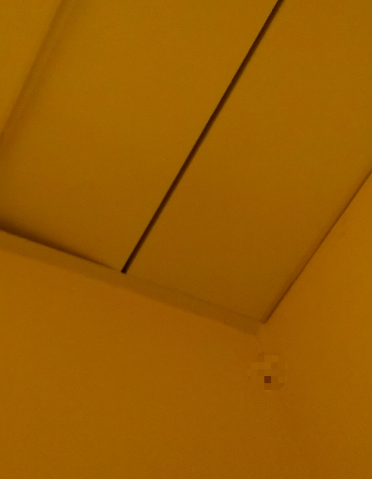 香港の分割部屋で遭遇したゴキブリと外れている天井
