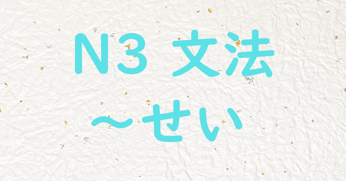 JLPT N3 文法 せい